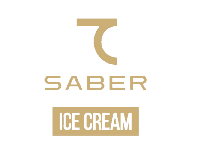 Partner Saber logotipi